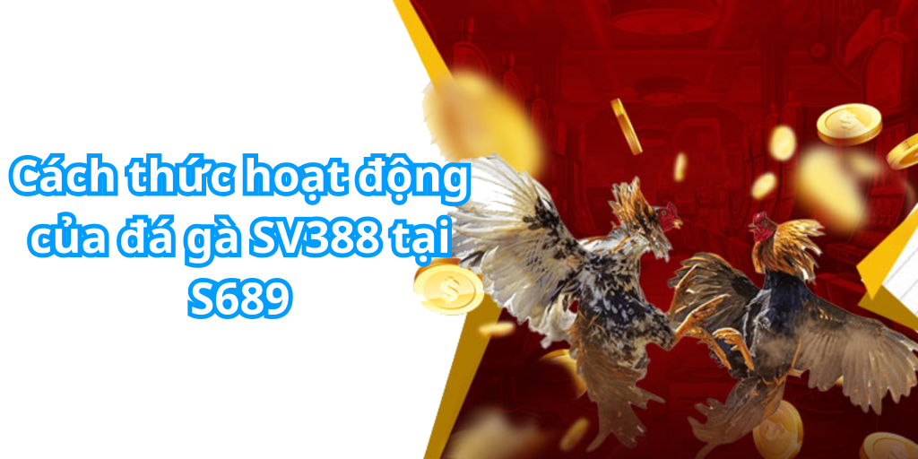 Cách thức hoạt động của đá gà SV388 tại S689