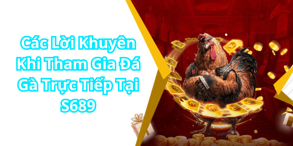 Các Lời Khuyên Khi Tham Gia Đá Gà Trực Tiếp Tại S689