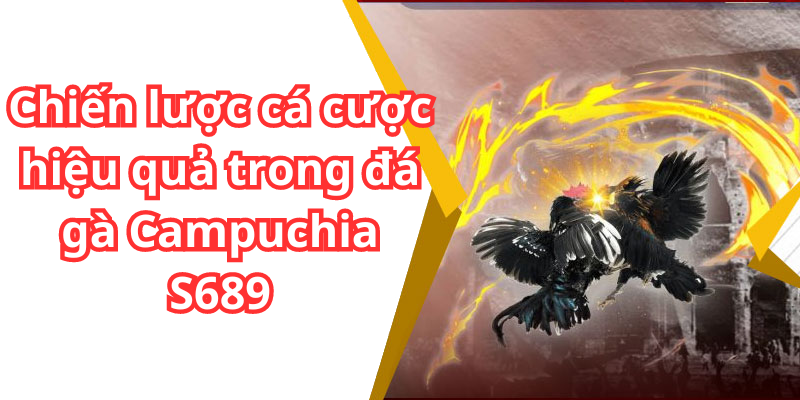 Chiến lược cá cược hiệu quả trong đá gà Campuchia S689