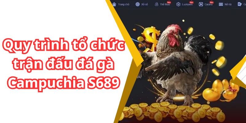 Quy trình tổ chức trận đấu đá gà Campuchia S689